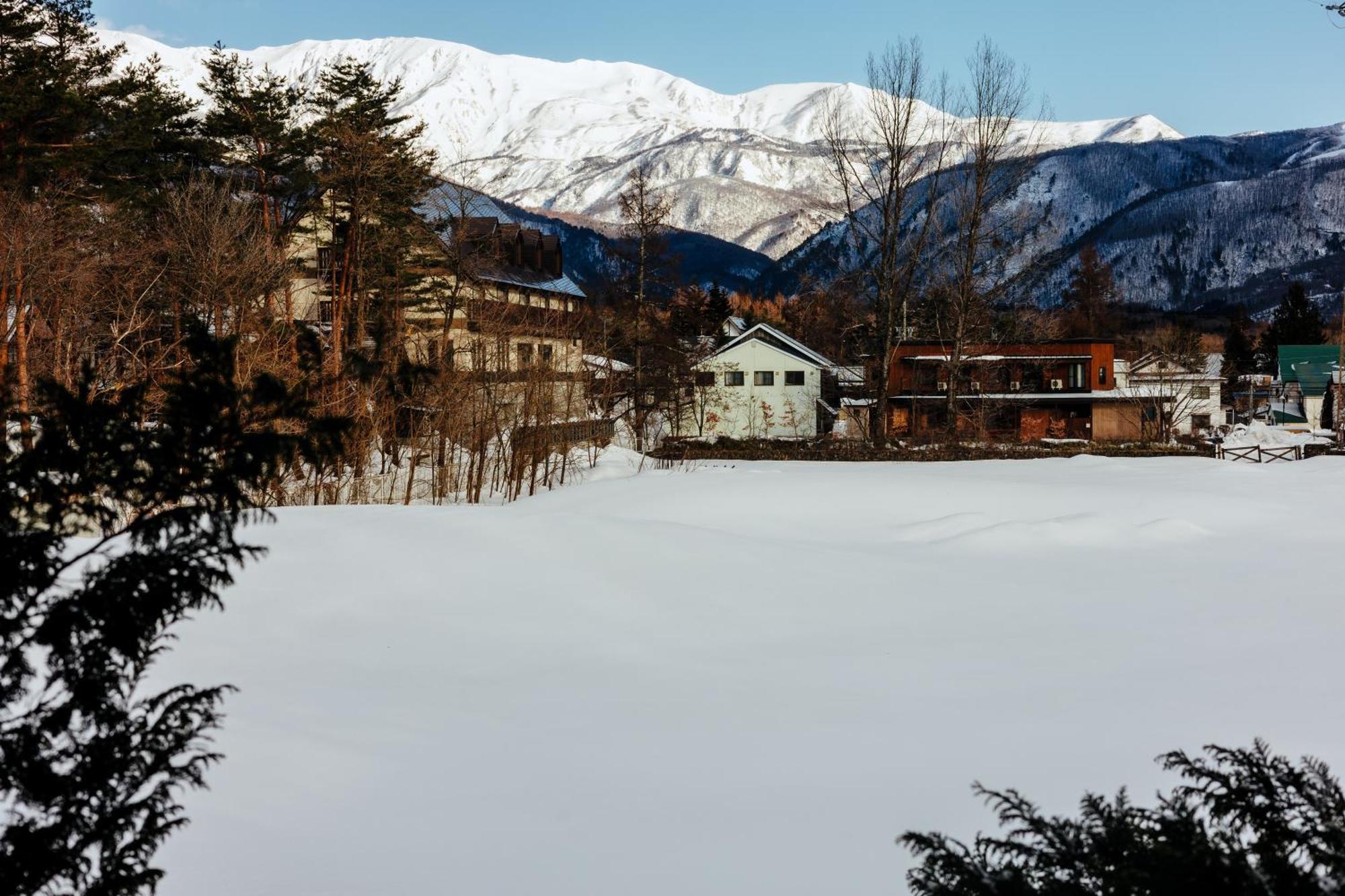 Brownie Hakuba